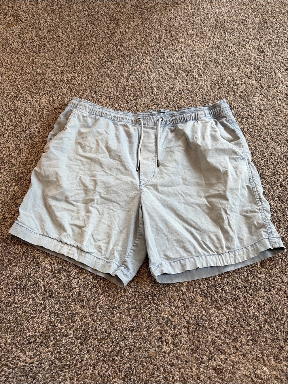 American Eagle Outfitters Light Blue Flex Shorts Size Large